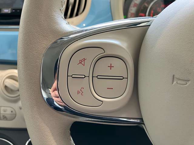 フィアット ５００Ｃ チエーロブル H29年 () 99