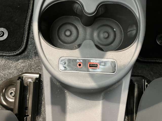 フィアット ５００Ｃ チエーロブル H29年 () 99