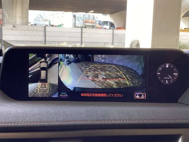 レクサス ＵＸ２５０ｈ バージョンＬ R2年 (近畿) 99