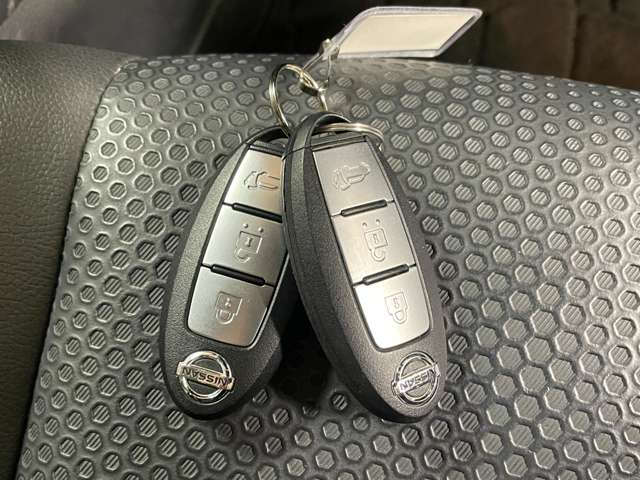 日産 エクストレイル ２．０ ２０Ｘ ２列車 ４ＷＤ H29年 (甲信越・北陸) 99