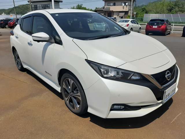 日産 リーフ Ｘ　Ｖセレクション R2年 (関東) 99