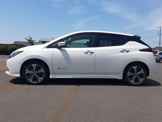 日産 リーフ Ｘ　Ｖセレクション R2年 (関東) 99