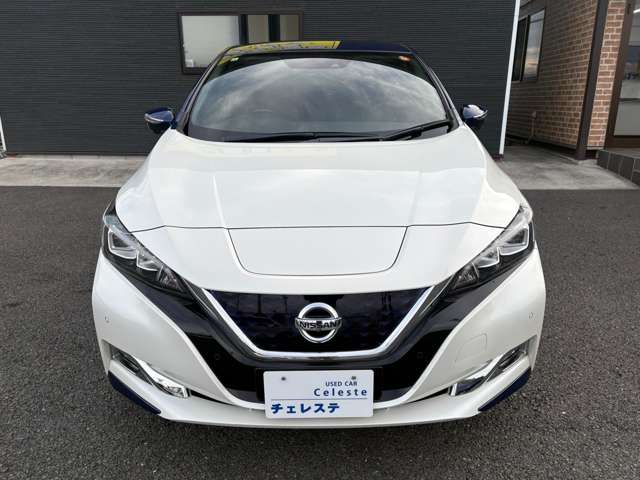 日産 リーフ Ｇ H30年 (九州・沖縄) 99