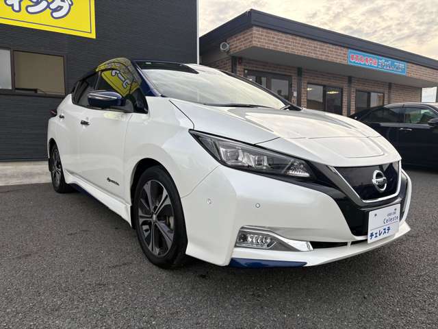 日産 リーフ Ｇ H30年 (九州・沖縄) 99