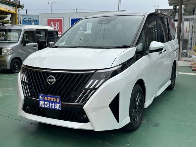 日産 セレナ ２．０ ハイウェイスターＶ 日産オリジナルナビ取付パッケージ装着車 R8年 (東海) 99