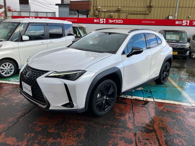 レクサス ＵＸ２５０ｈ アーバンエレガンス R3年 (甲信越・北陸) 99