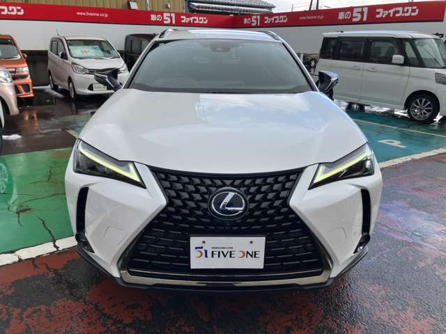 レクサス ＵＸ２５０ｈ アーバンエレガンス R3年 (甲信越・北陸) 99