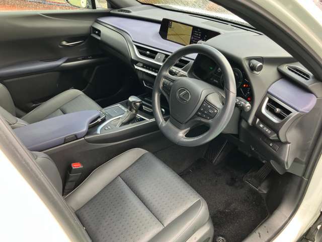 レクサス ＵＸ２５０ｈ アーバンエレガンス R3年 (甲信越・北陸) 99