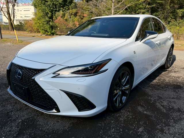 レクサス ＥＳ３００ｈ Ｆスポーツ R1年 (近畿) 99