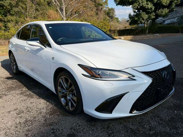 レクサス ＥＳ３００ｈ Ｆスポーツ R1年 (近畿) 99