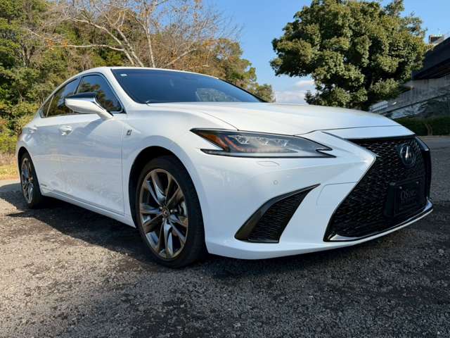 レクサス ＥＳ３００ｈ Ｆスポーツ R1年 (近畿) 99