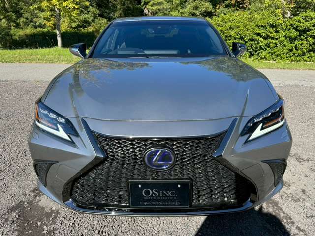 レクサス ＥＳ３００ｈ Ｆスポーツ H30年 (近畿) 99