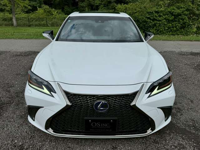 レクサス ＥＳ３００ｈ Ｆスポーツ R1年 (近畿) 99
