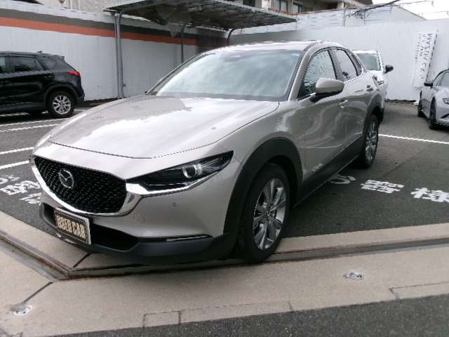 マツダ ＣＸ−３０ ２．０ ２０Ｓ Ｉ セレクション R8年 (中国) 99