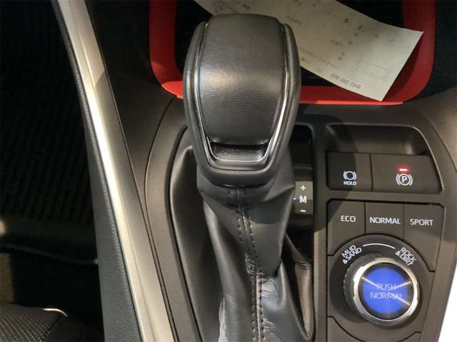 トヨタ ＲＡＶ４ ２．０ アドベンチャー オフロード パッケージＩＩ ４ＷＤ R6年 (近畿) 99