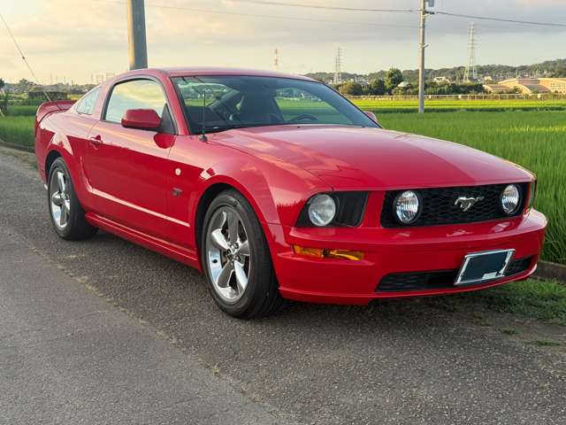 フォード マスタング Ｖ８　ＧＴ　クーペ　プレミアム H19年 (関東) 99