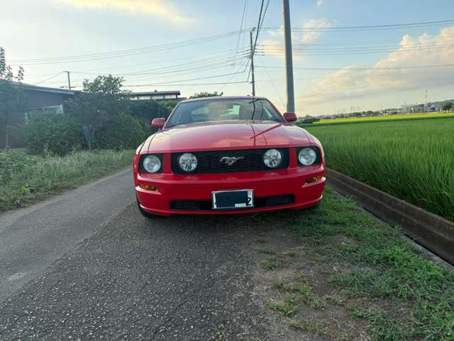 フォード マスタング Ｖ８　ＧＴ　クーペ　プレミアム H19年 (関東) 99