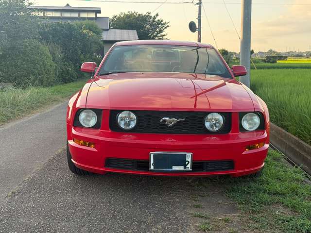 フォード マスタング Ｖ８　ＧＴ　クーペ　プレミアム H19年 (関東) 99