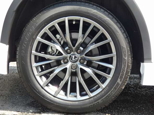 レクサス ＲＸ４５０ｈ Ｆスポーツ R3年 (東海) 99