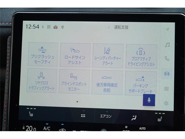レクサス ＬＢＸ モリゾウ ＲＲ ４ＷＤ R7年 (中国) 99