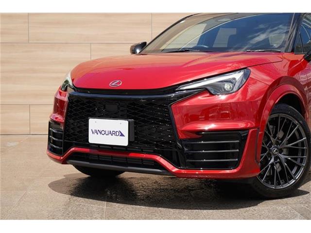 レクサス ＬＢＸ モリゾウ ＲＲ ４ＷＤ R7年 (中国) 99
