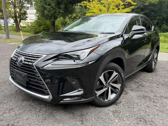 レクサス ＮＸ３００ｈ バージョンＬ H29年 (近畿) 99