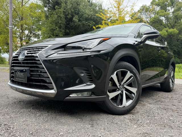 レクサス ＮＸ３００ｈ バージョンＬ H29年 (近畿) 99