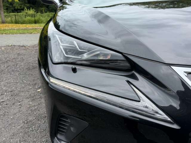 レクサス ＮＸ３００ｈ バージョンＬ H29年 (近畿) 99