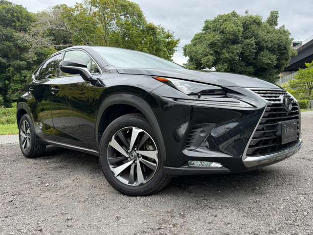 レクサス ＮＸ３００ｈ バージョンＬ H29年 (近畿) 99