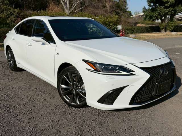 レクサス ＥＳ３００ｈ Ｆスポーツ R1年 (近畿) 99