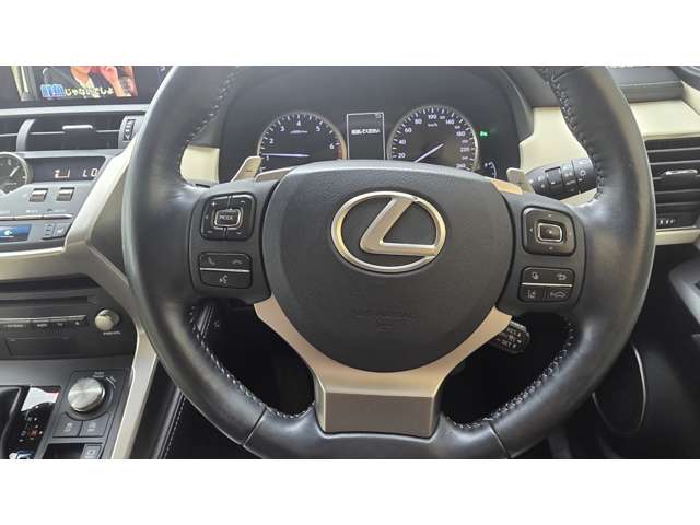 レクサス ＮＸ３００ Ｉパッケージ H30年 (関東) 99