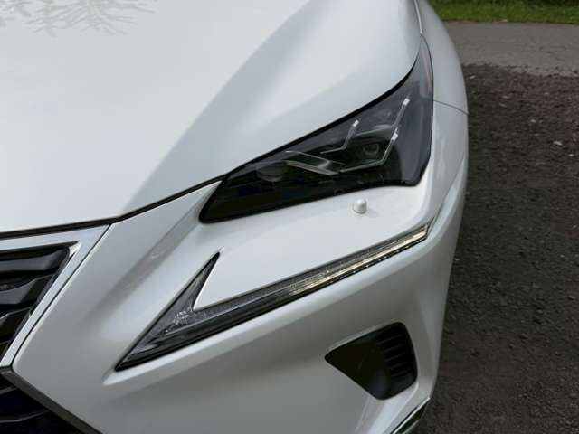 レクサス ＮＸ３００ｈ Ｉパッケージ H30年 (近畿) 99