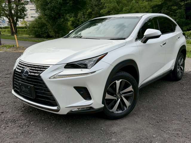 レクサス ＮＸ３００ｈ Ｉパッケージ H30年 (近畿) 99