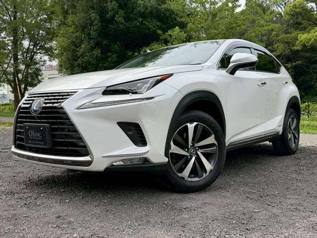 レクサス ＮＸ３００ｈ Ｉパッケージ H30年 (近畿) 99