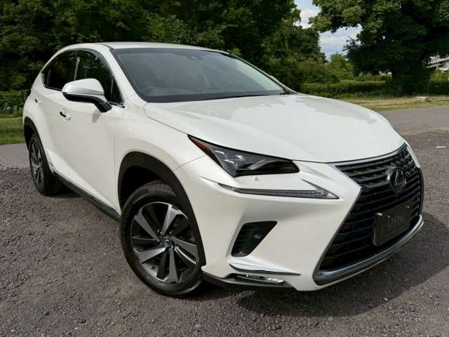 レクサス ＮＸ３００ｈ Ｉパッケージ H30年 (近畿) 99