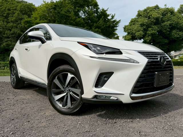 レクサス ＮＸ３００ｈ Ｉパッケージ H30年 (近畿) 99