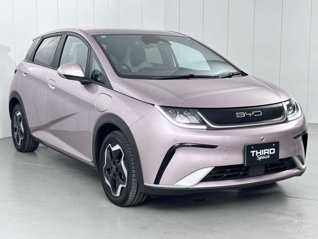 ＢＹＤ ＢＹＤドルフィン ベースモデル R6年 (関東) 99