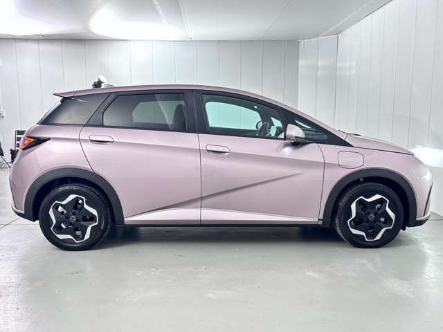 ＢＹＤ ＢＹＤドルフィン ベースモデル R6年 (関東) 99