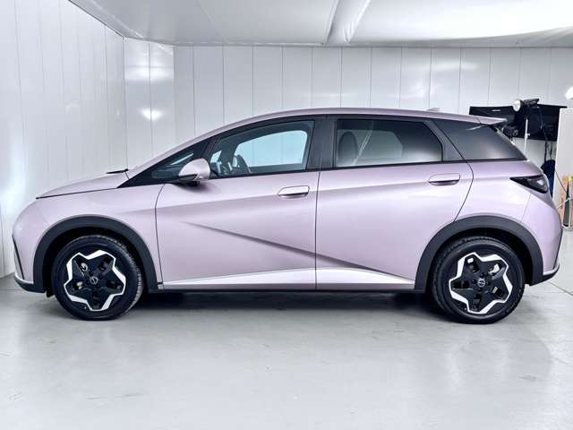 ＢＹＤ ＢＹＤドルフィン ベースモデル R6年 (関東) 99