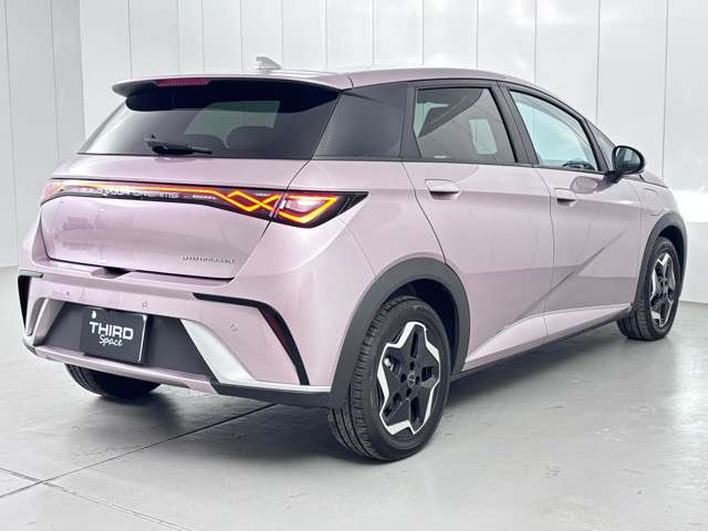ＢＹＤ ＢＹＤドルフィン ベースモデル R6年 (関東) 99