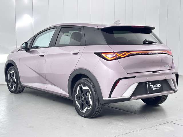 ＢＹＤ ＢＹＤドルフィン ベースモデル R6年 (関東) 99