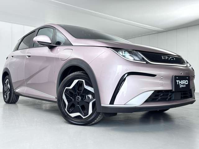 ＢＹＤ ＢＹＤドルフィン ベースモデル R6年 (関東) 99
