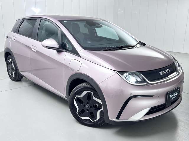 ＢＹＤ ＢＹＤドルフィン ベースモデル R6年 (関東) 99