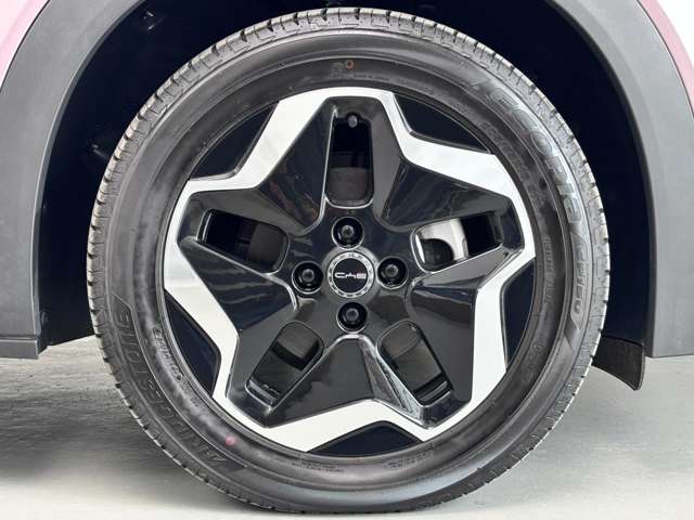 ＢＹＤ ＢＹＤドルフィン ベースモデル R6年 (関東) 99