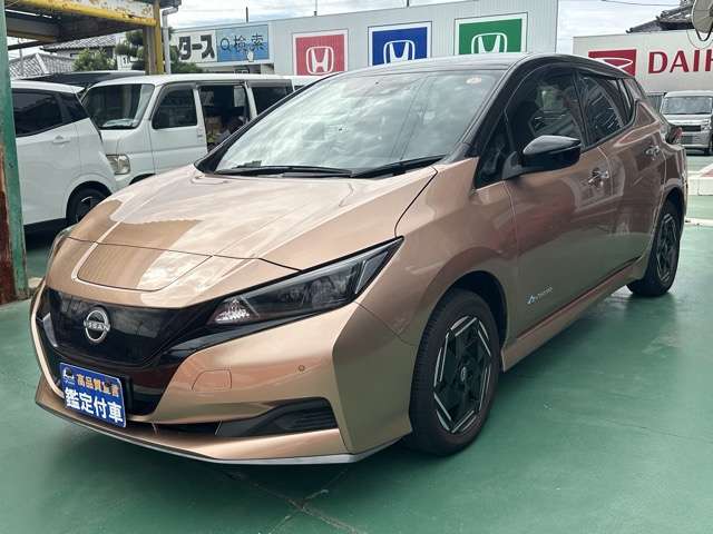 日産 リーフ ｅ＋　Ｘ R6年 (東海) 99