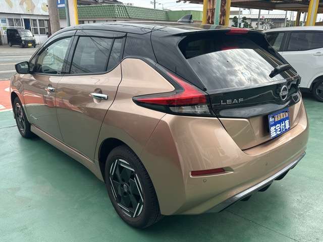 日産 リーフ ｅ＋　Ｘ R6年 (東海) 99