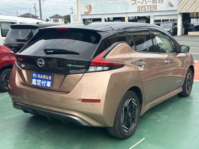 日産 リーフ ｅ＋　Ｘ R6年 (東海) 99