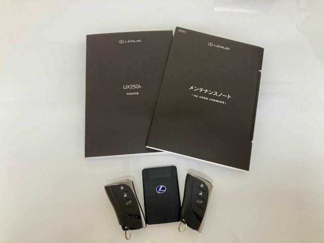 レクサス ＵＸ２５０ｈ ２５０Ｈ Ｆスポーツ ４ＷＤ R4年 (北海道) 99