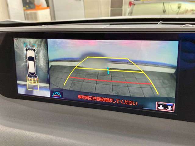 レクサス ＵＸ２５０ｈ ２５０Ｈ Ｆスポーツ ４ＷＤ R4年 (北海道) 99