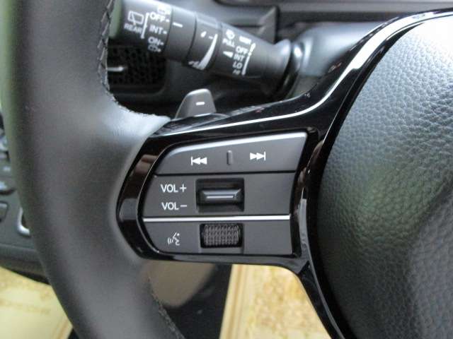 ホンダ ステップワゴン １．５ スパーダ ４ＷＤ R8年 (関東) 99